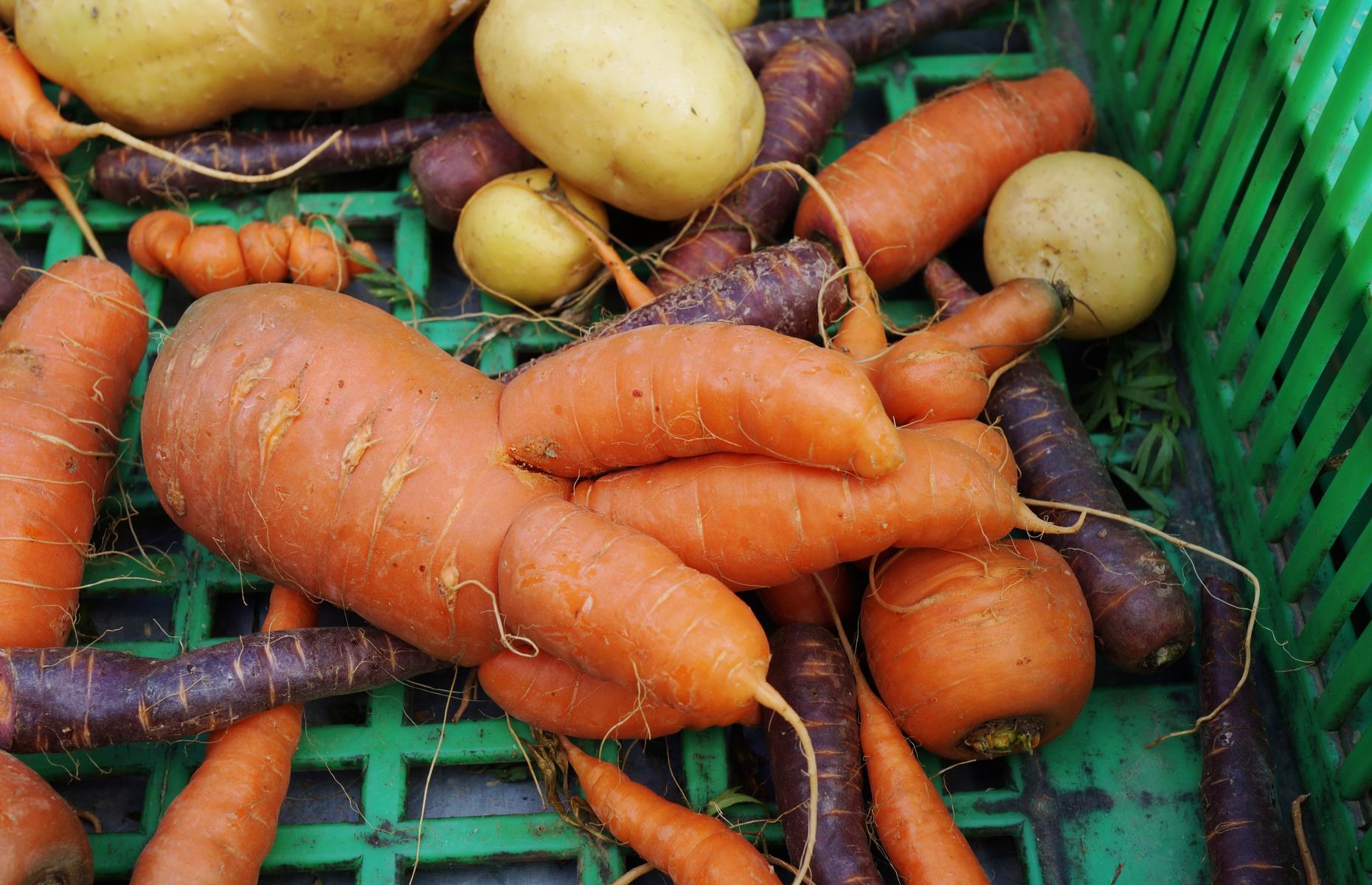 Choose ugly vegetables